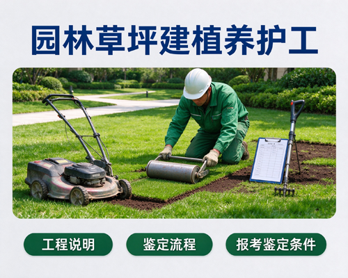 园林草坪建植养护工